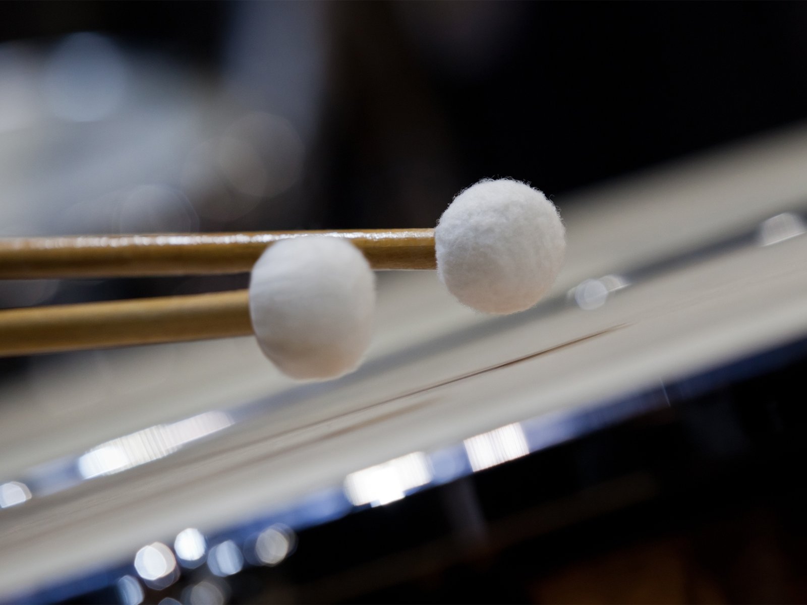 Musical Instruments & Acoustics